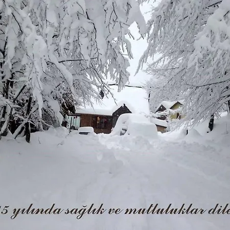 Karacadag Evleri Orman Evi *