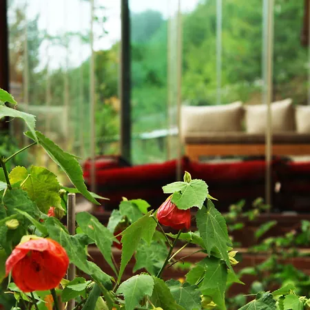 Orman Evi Karacadag Evleri *