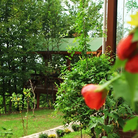 Karacadag Evleri Orman Evi