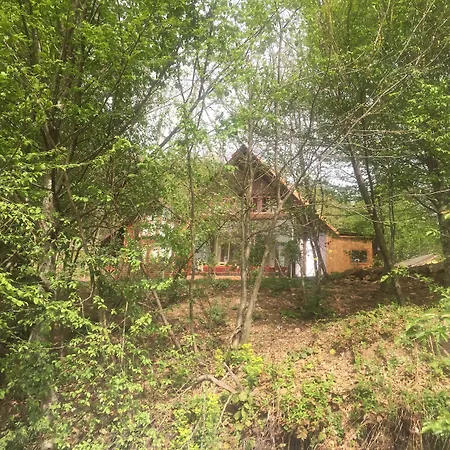 Karacadag Evleri Kazandere