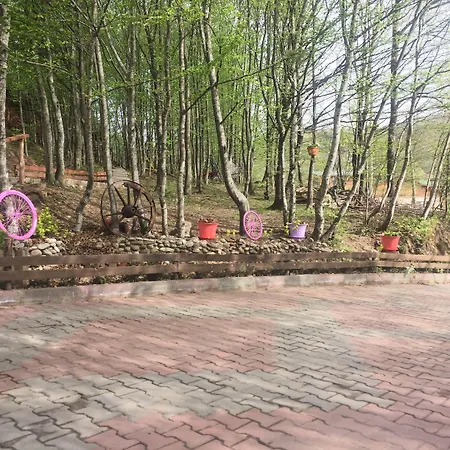 Karacadag Evleri Kazandere