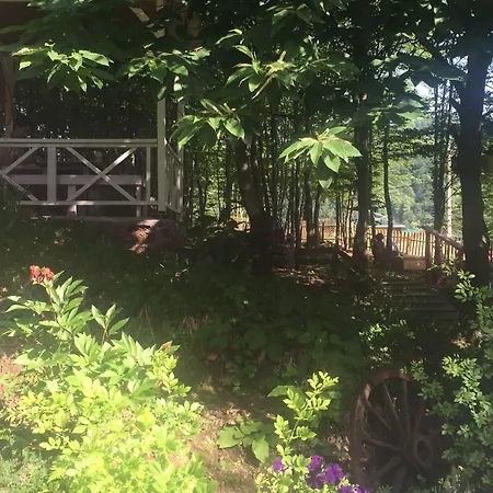 Orman Evi Karacadag Evleri