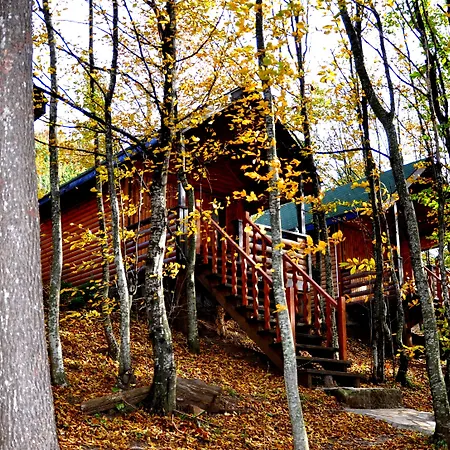 Orman Evi Karacadag Evleri Kazandere