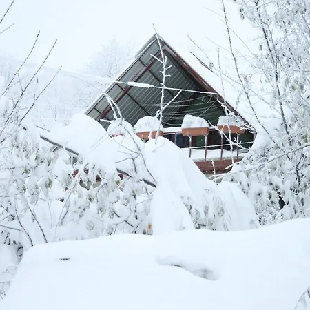 Orman Evi Karacadag Evleri