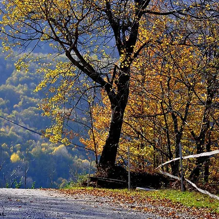 Orman Evi Karacadag Evleri Kazandere