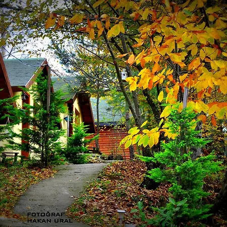 Orman Evi Karacadag Evleri Kazandere