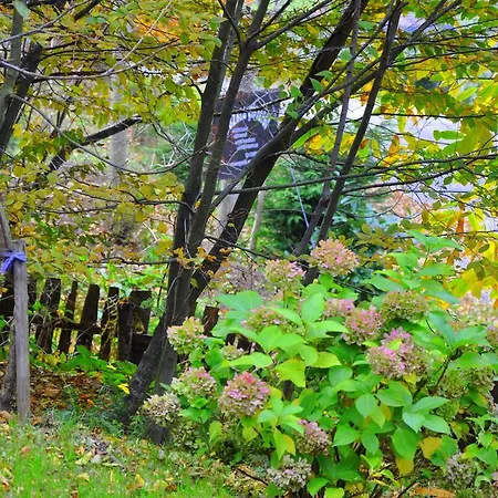 Orman Evi Karacadag Evleri Kazandere