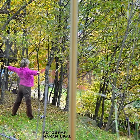 Karacadag Evleri Orman Evi *